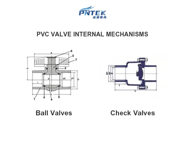 PVC Valve Internal Mechanisms A diagram showing the internal mechanics of a ball valve versus a check valve