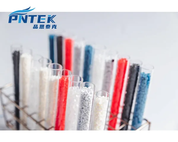 From Polypropylene Pellet to Valve A Pntek engineer holding a raw pellet of polypropylene next to a finished PP valve